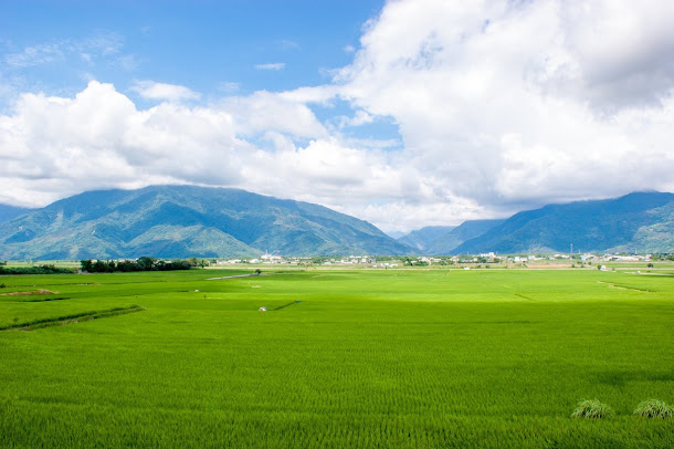 齊柏林助手陳冠齊失事前最後拍下的花東縱谷美景。
齊柏林助手陳冠齊失事前最後拍下的花東縱谷美景。