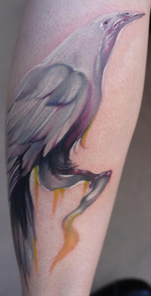 Anchor Tattoos Designs Bird Of Paradise Tattoos Designs