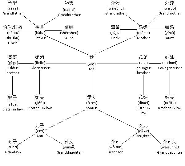 Family Relationship Tree