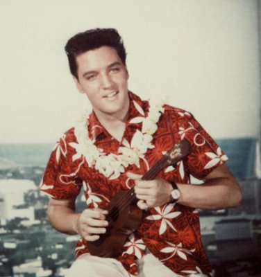 Hawaiian Funny