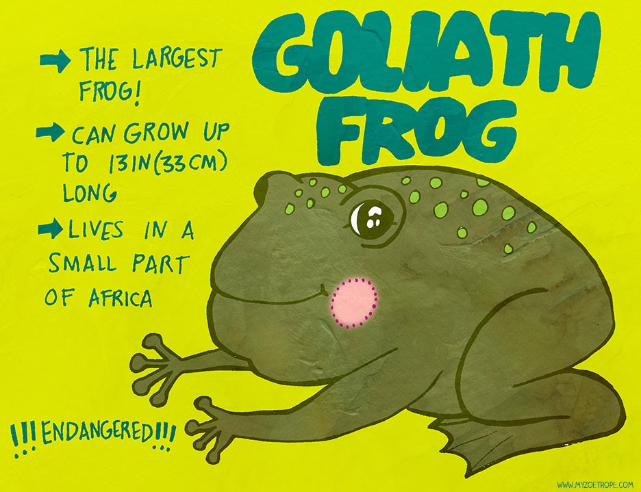 My Zoetrope 315 Goliath Frog