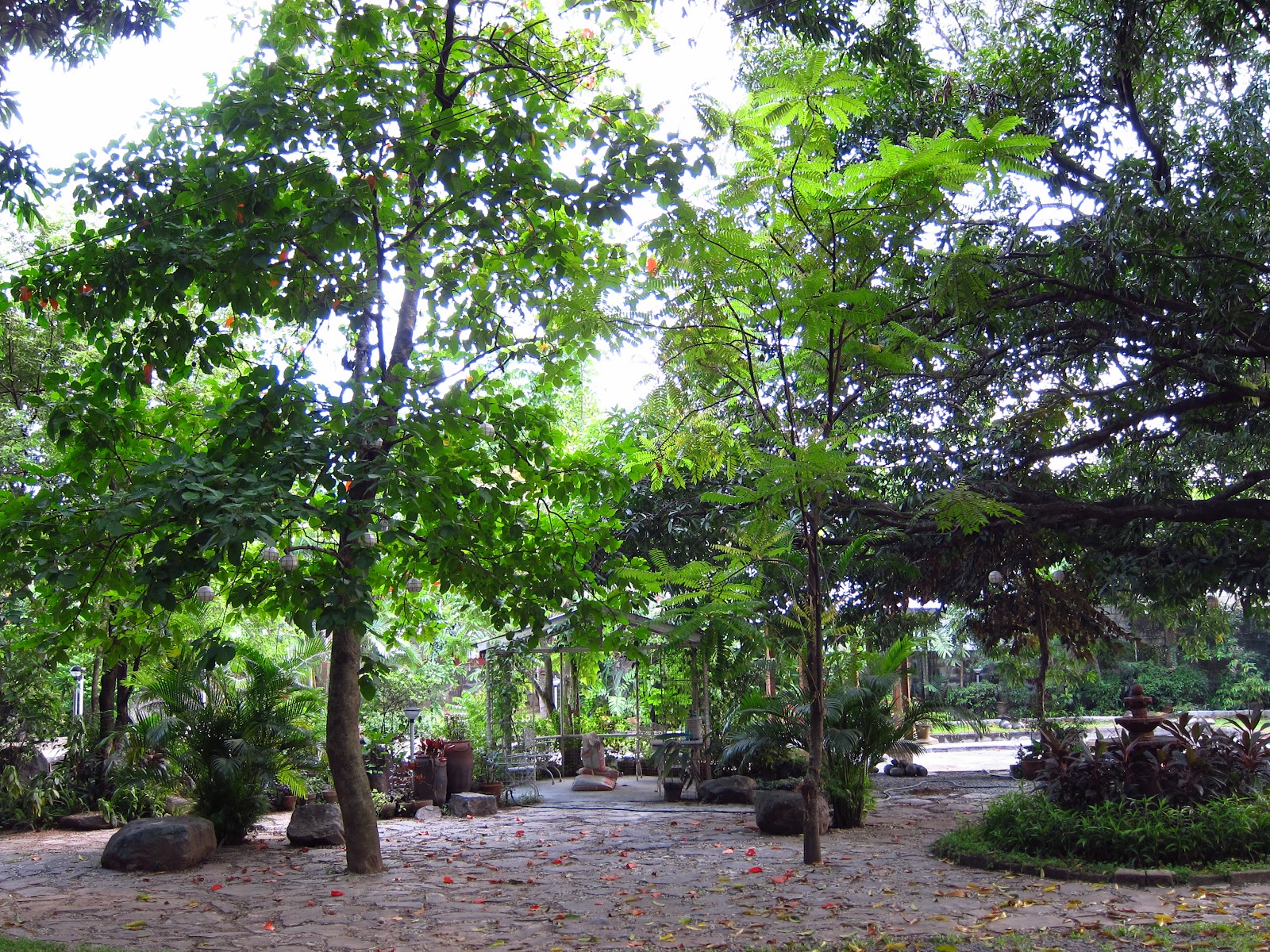 Orchard Garden