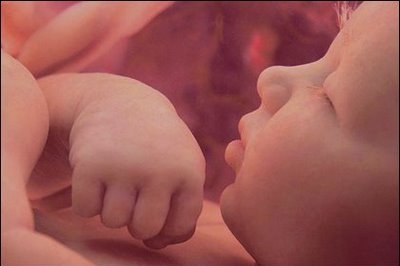El Gusto Desarrollo De Los Sentidos En El Vientre Materno Embarazo Online El Gusto Desarrollo De Los Sentidos En El Vientre Materno Embarazo Online