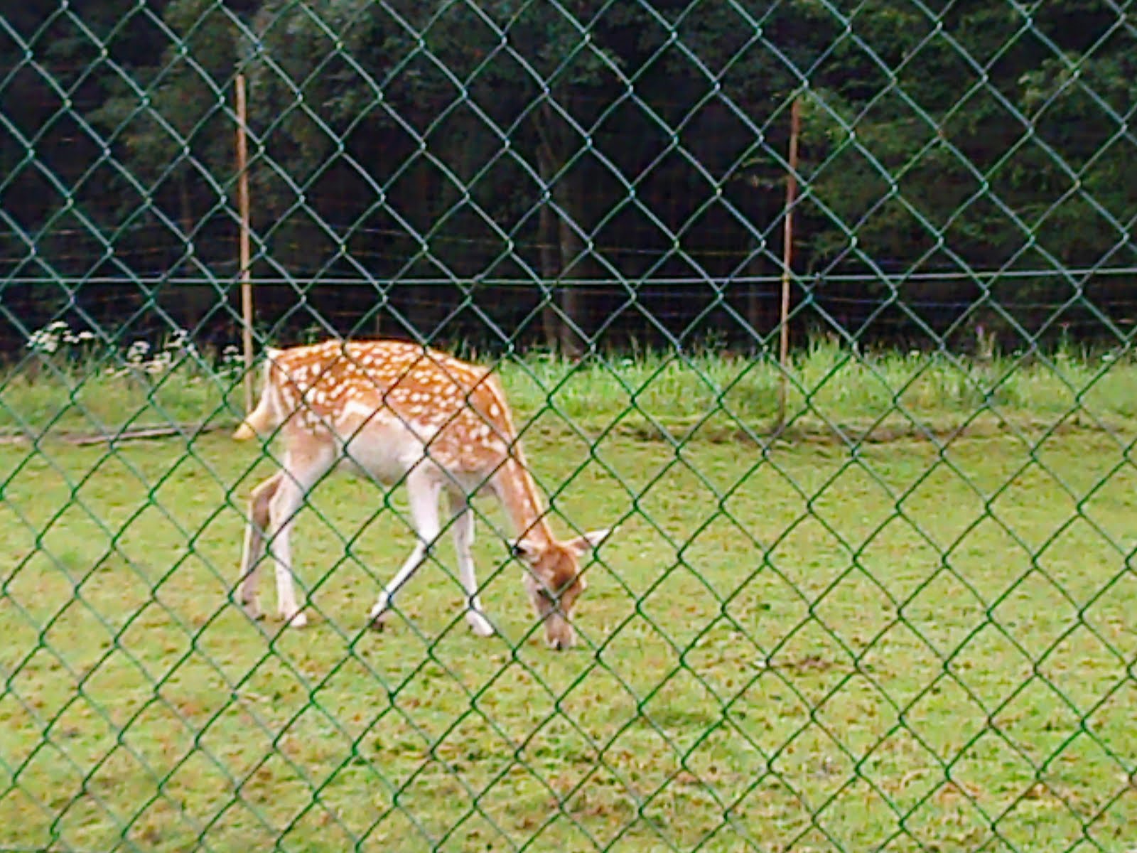 rencontre bogny sur meuse