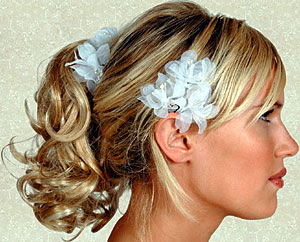 Awesome Wedding Hairstyles Images