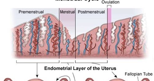 Komunitas Pelajar berbagi ilmu PROSES TERJADINYA