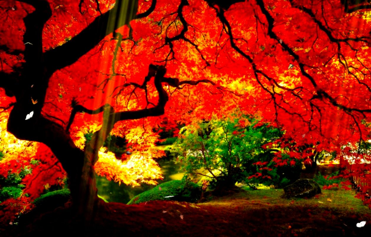 40 Best amp Amazing 3D Animated HD Wallpapers   TechBlogStop 40 Best amp Amazing 3D Animated HD Wallpapers   TechBlogStop