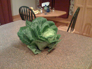 Homegrown Cabbage