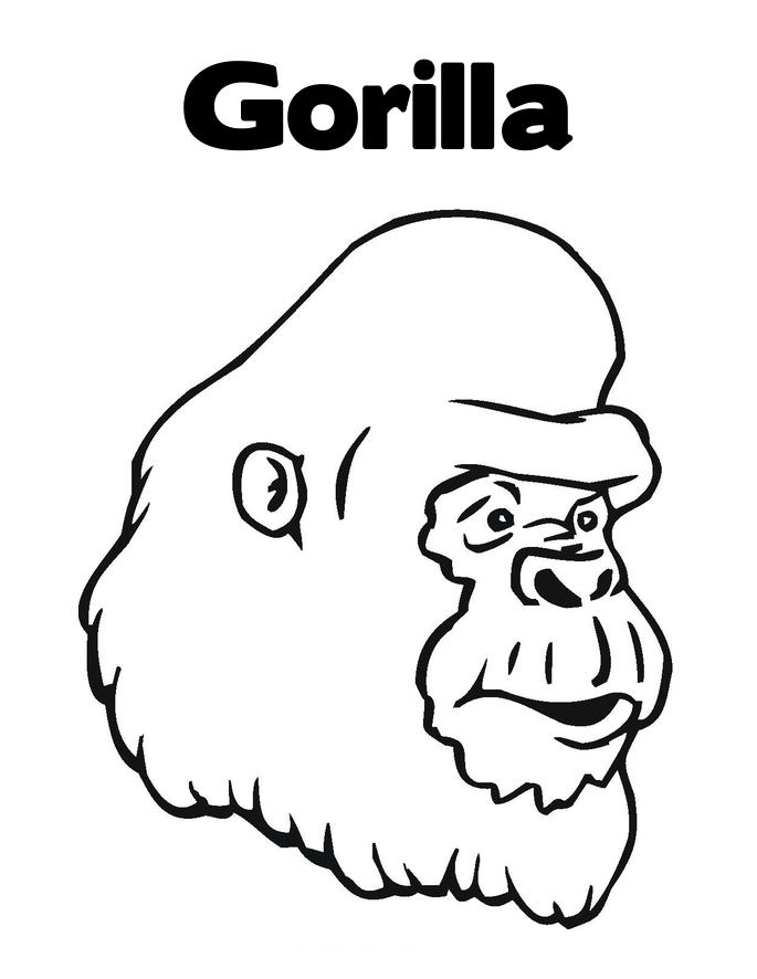 Gorilla Coloring Pages To Kids