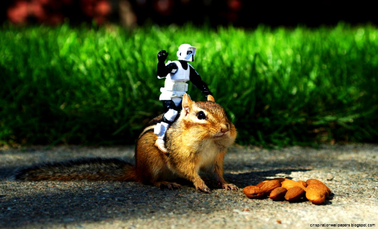 Star Wars Chipmunk Star Wars Chipmunk
