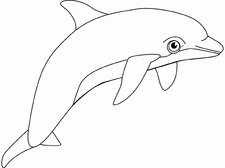 Coloring Sheets Coloring Pages Dolphin To Draw Print Color
