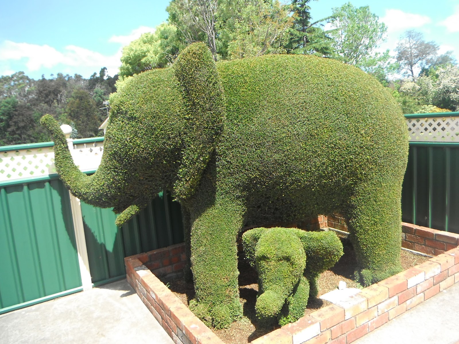 Topiary+009.JPG