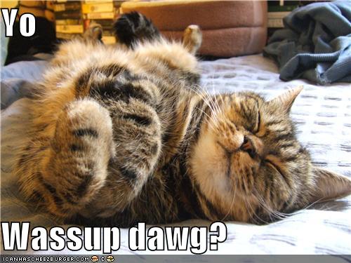 wassup dawg