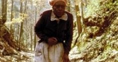 a warm path eudora welty