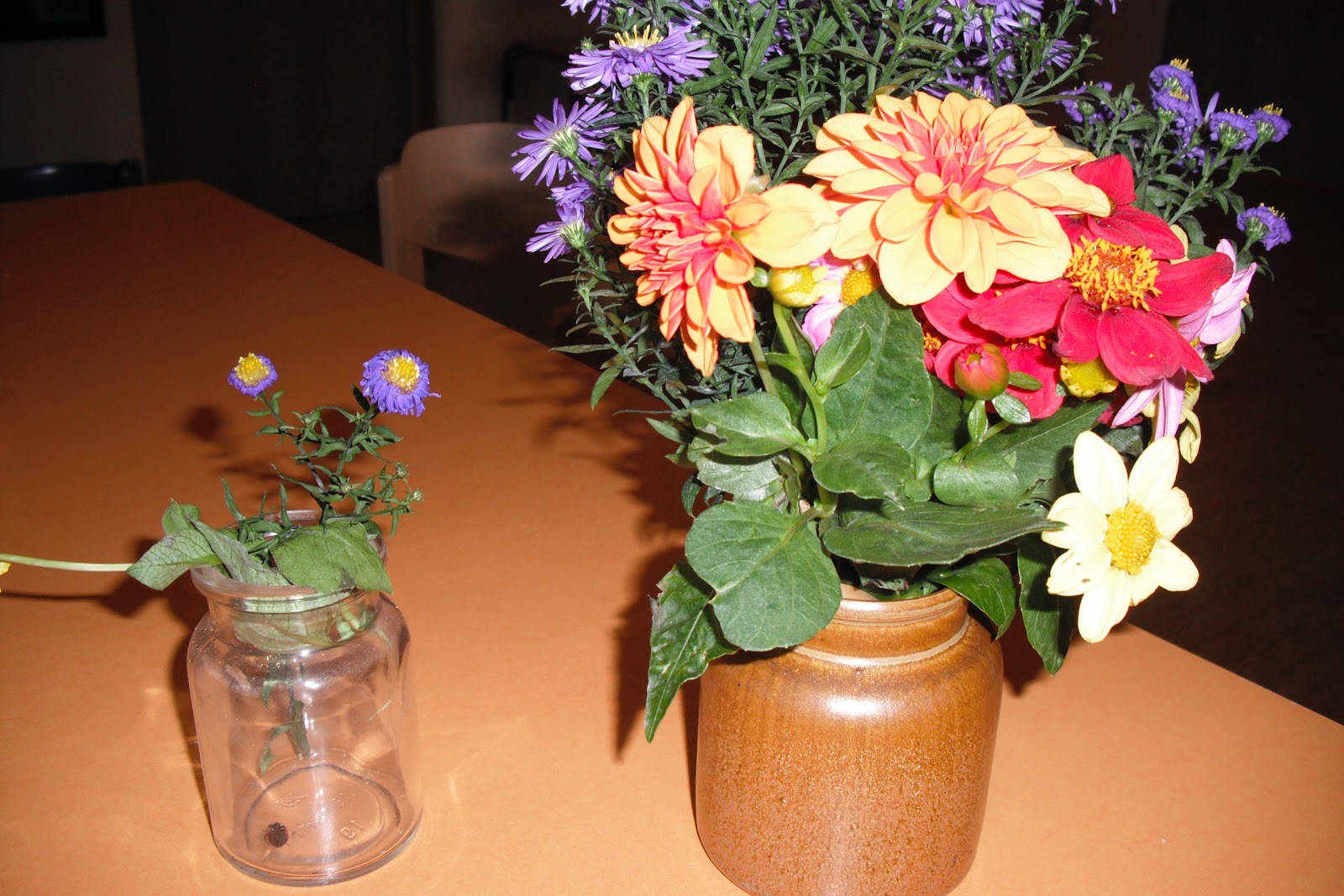 Children Keepers Of The Earth Kinder Huter Der Erde Das Wasser Ist Leben Experiment Blumen Mit Wasser Ohne Wasser