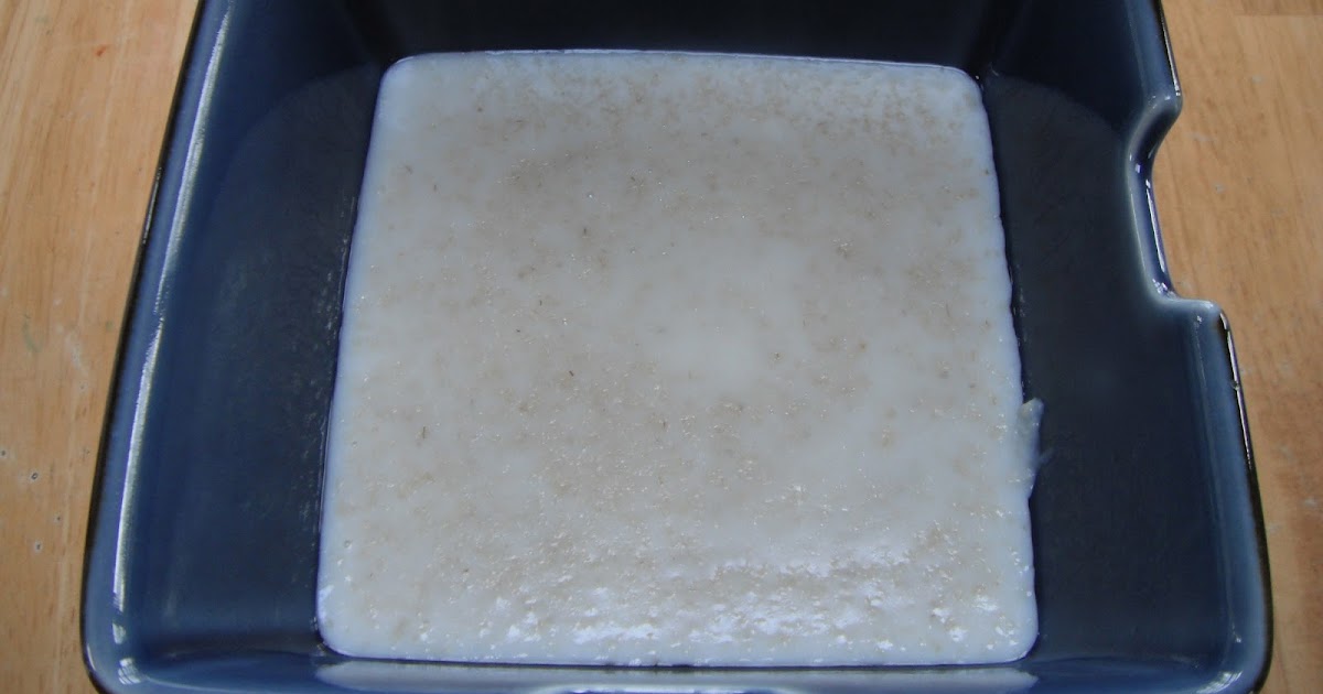 PARTY Dukan Diet Oat Bran Porridge!!! So easy so delicious!