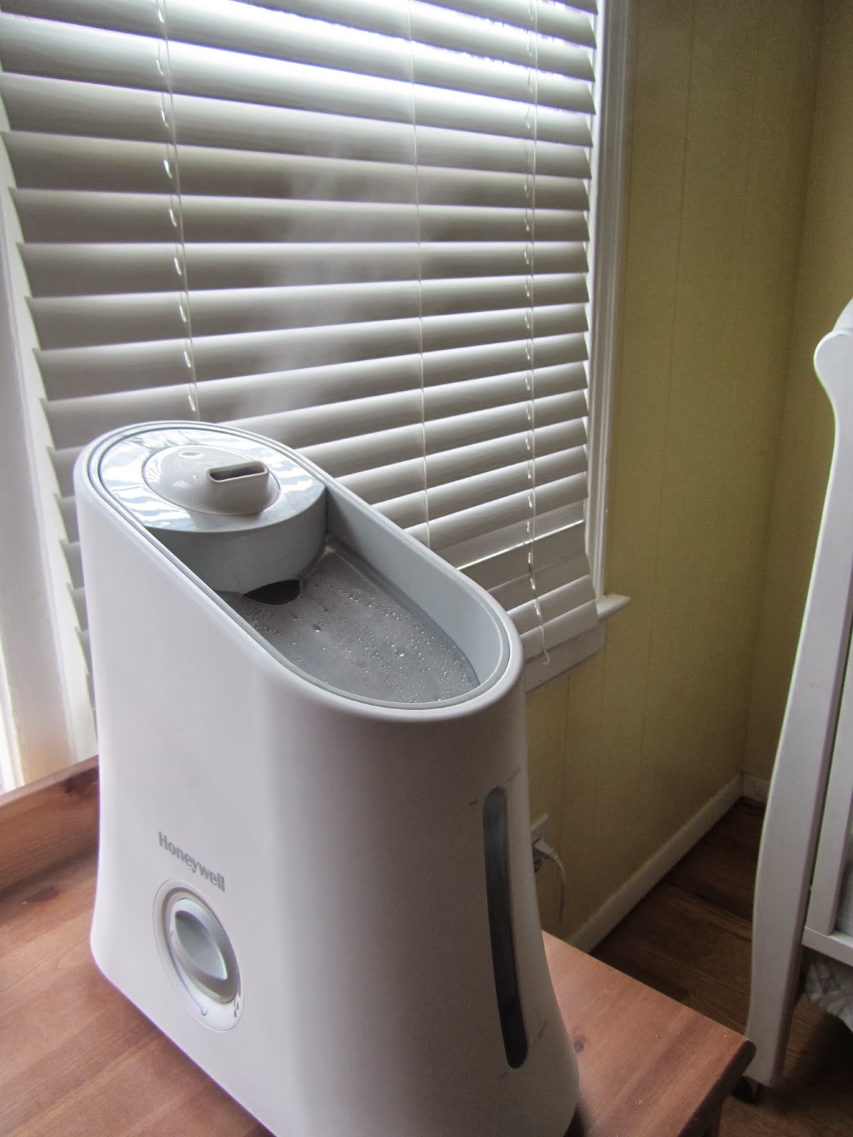 Use Essential Oil to Sanitize the Air