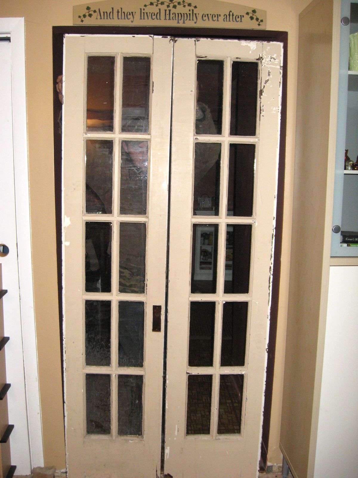 Two Blue Houses Refinished Vintage French Doors