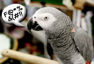 490186-swearing-parrot-ruffles-feathers.jpg