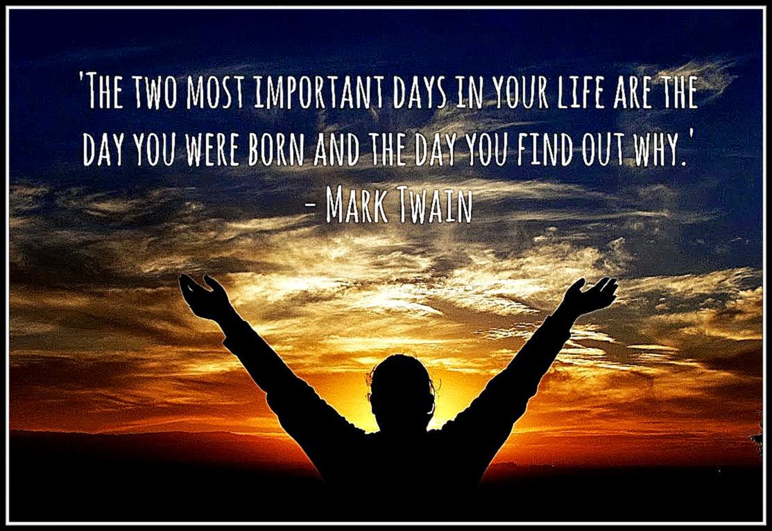 The Hermit Diaries 365 Days of Happy Day 287 The Hermit Diaries 365 Days of Happy Day 287