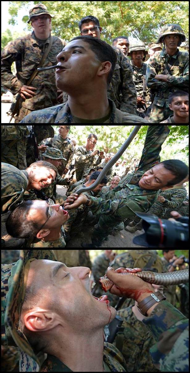 latihan ikhtiar hidup cobra gold 2013 latihan ikhtiar hidup cobra gold 2013