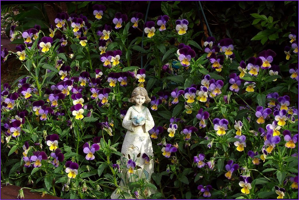 Favourite Vintage Finds Johnny Jump Up And Kiss Me!