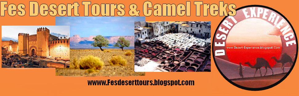 Fes Desert Tours - Sahara Tour Fez - Morocco Desert Trip from fes