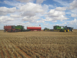 Bulla Burra Harvest 2010