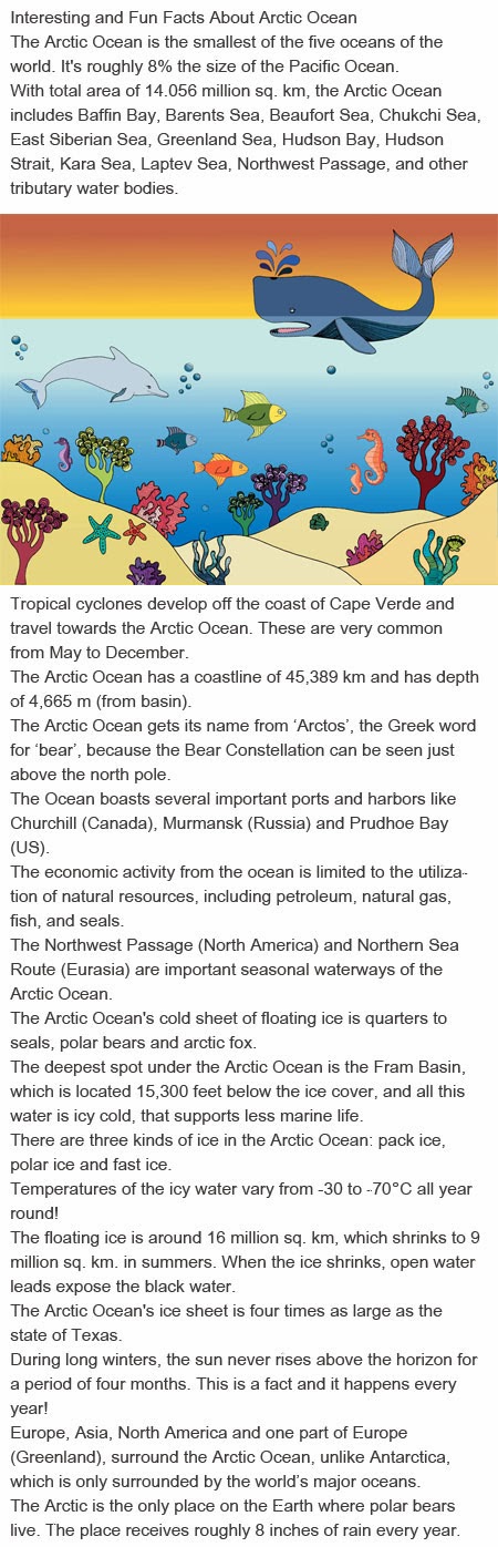Arctic Ocean facts for kids