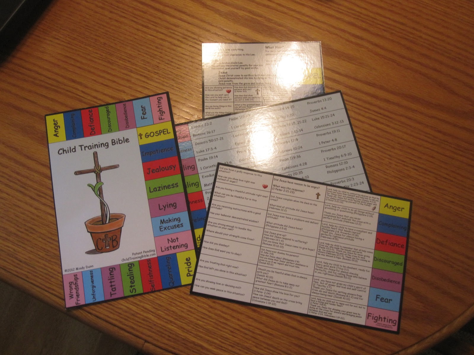 The Fruit of Her Hands The Child Training Bible