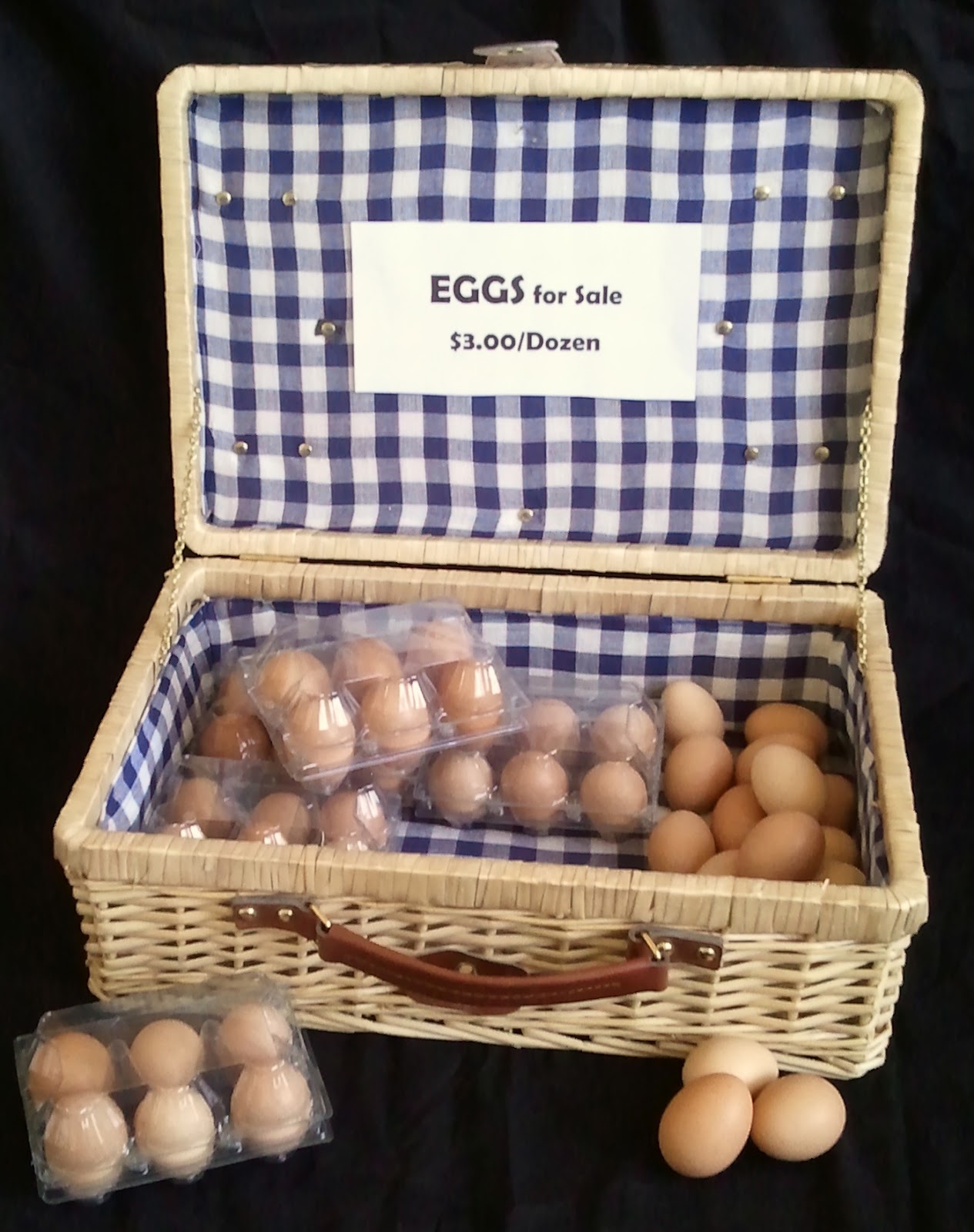 Fresh Eggs Daily® Handling and Storing Eggs