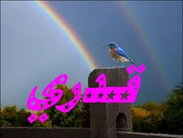 عالم جميل معنى اسم قدري
