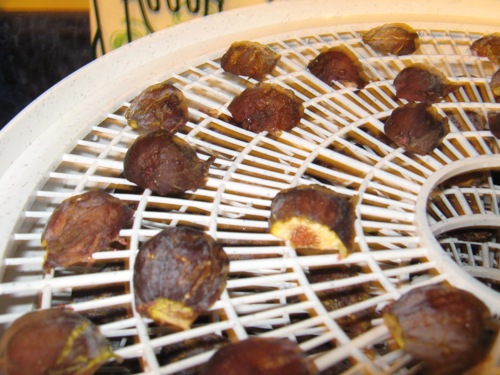Cypress Hill Farm Dehydrating Figs............