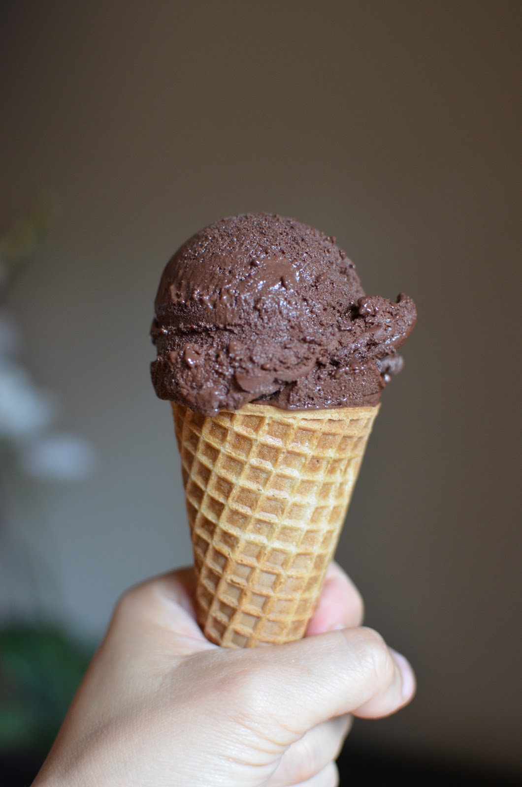 Playing with Flour Breaking in the new ice cream maker chocolate gelato