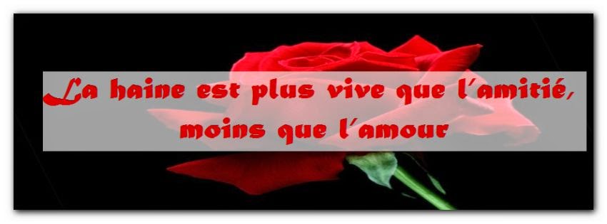 Phrase belle rencontre amitie