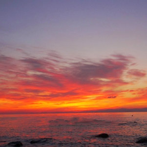 Herr Schnecke Unterwegs Und Auf Reisen 2015