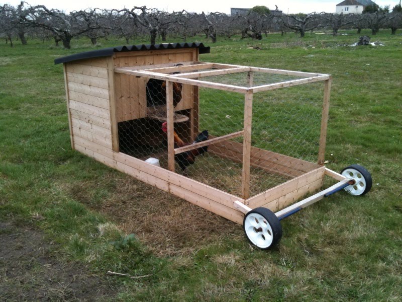 The Chicken Daily Moveable Chicken House