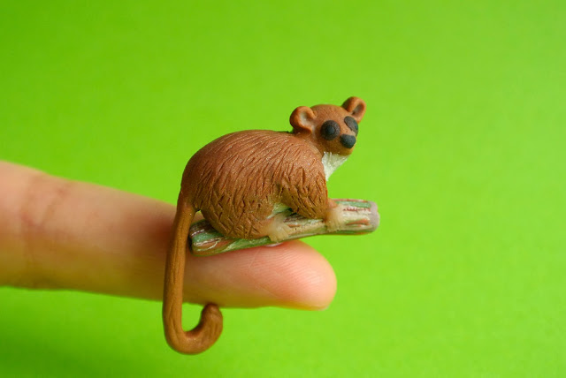 Madame Berthe's mouse lemur by The Little Creatures Madame Berthe's mouse lemur by The Little Creatures