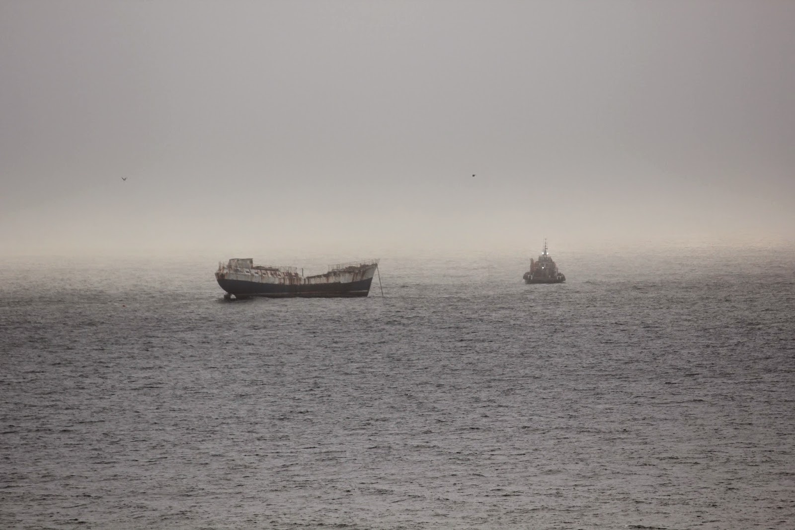 Bressay bank hout bay 06 image