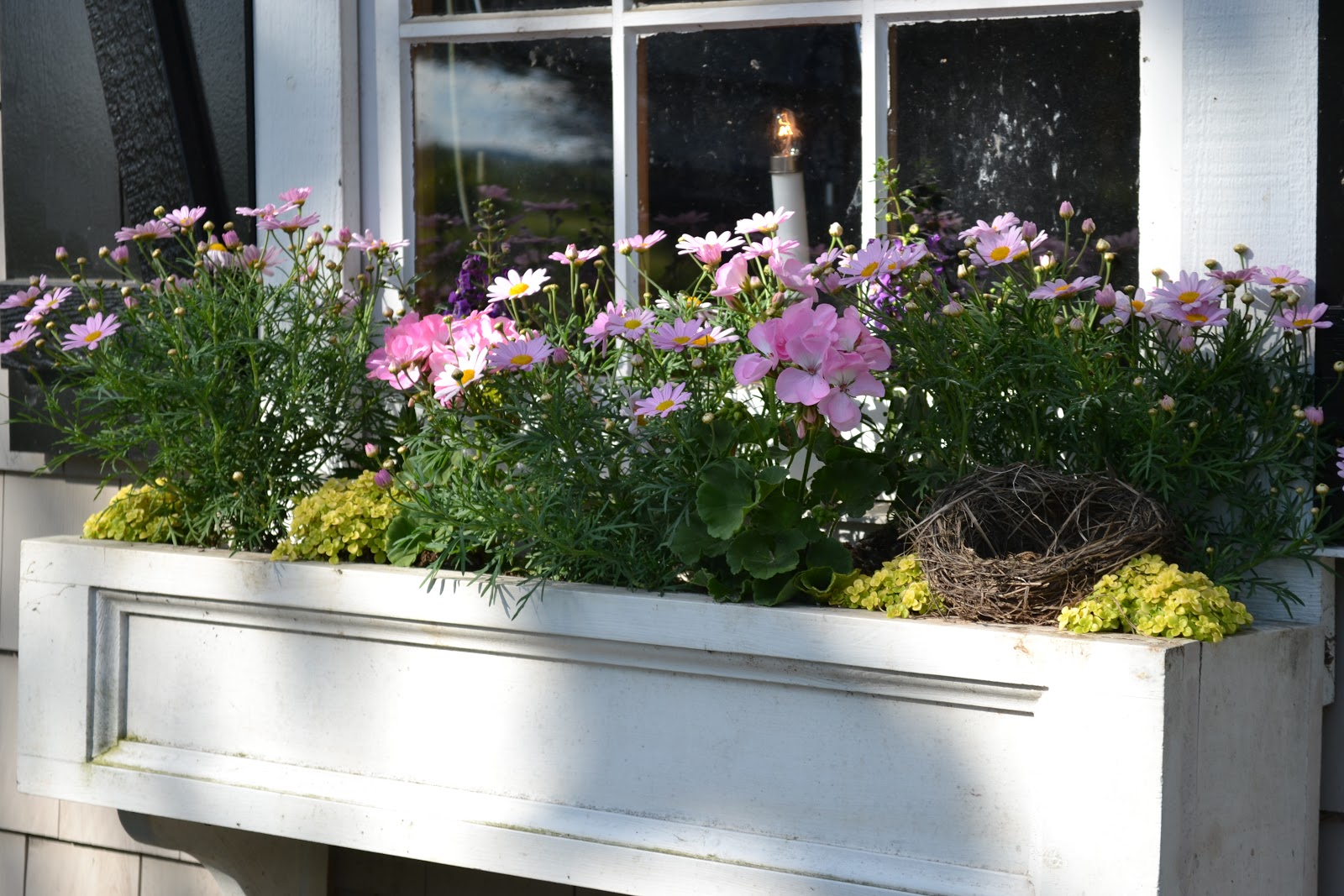Princeton Home and Garden Hopewell Carriage House Window Boxes filled