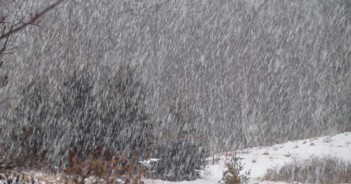 when to expect snow in chicago