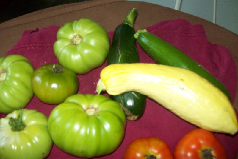 piccalilli fashioned canning tomatoes deer yard