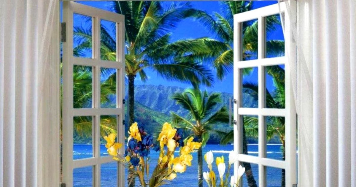 Window View Wallpaper Wallpapers Gallery