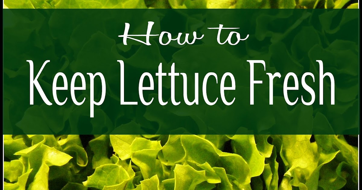 The Prudent Pantry How to Keep Lettuce Fresh