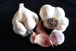 Visit the Great Northern Garlic Website!