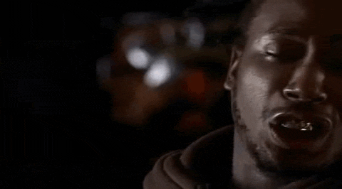 brooklyn+zoo.gif