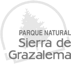 Parque Natural Sierra de Grazalema