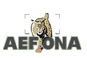 AEFONA