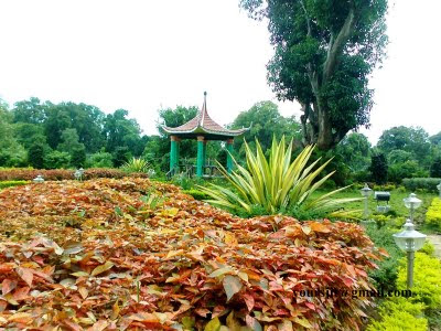 Dantewada Park Dantewada Park