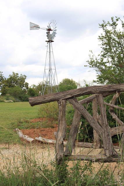 Rock-Oak-Deer: The Antique Rose Emporium - San Antonio